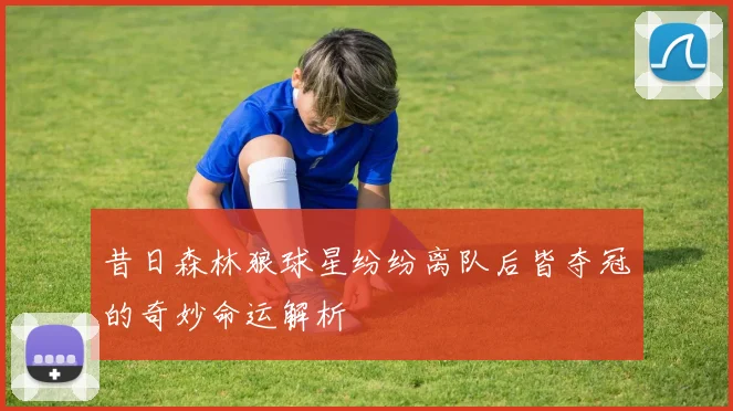 昔日森林狼球星纷纷离队后皆夺冠的奇妙命运解析